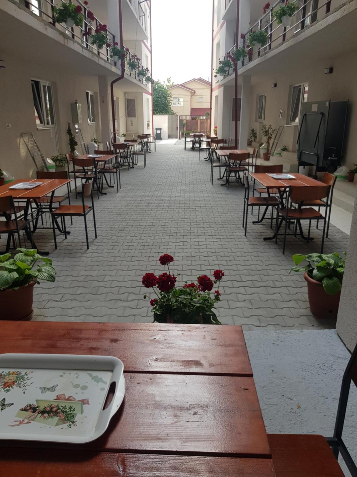 Evana House Costinesti Bagian luar foto